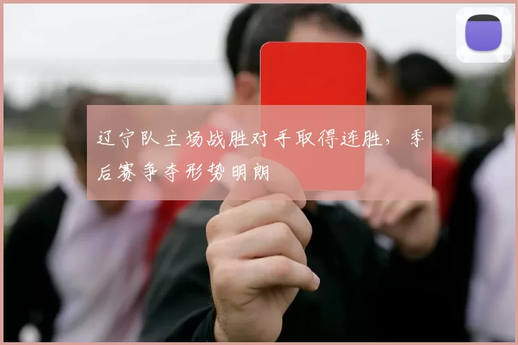 辽宁队主场战胜对手取得连胜，季后赛争夺形势明朗