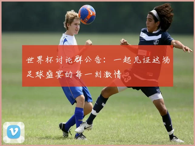 世界杯讨论群公告：一起见证这场足球盛宴的每一刻激情