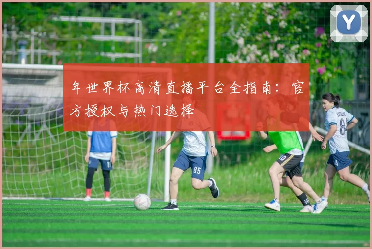 年世界杯高清直播平台全指南：官方授权与热门选择