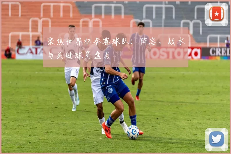 聚焦世界杯参赛球队：阵容、战术与关键球员盘点