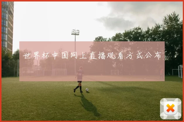 世界杯中国网上直播观看方式公布