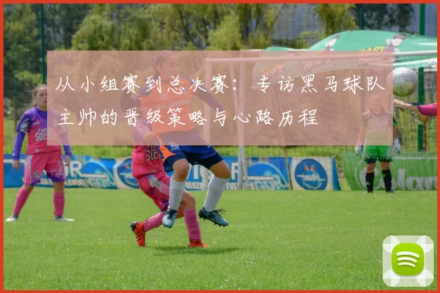 从小组赛到总决赛：专访黑马球队主帅的晋级策略与心路历程