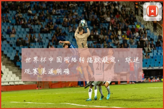 世界杯中国网络转播权敲定，球迷观赛渠道明确