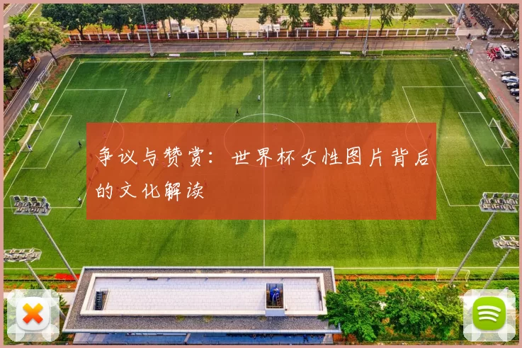争议与赞赏：世界杯女性图片背后的文化解读