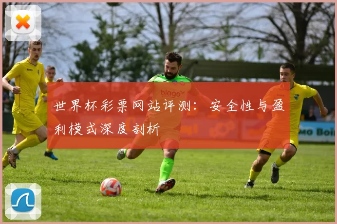 世界杯彩票网站评测：安全性与盈利模式深度剖析