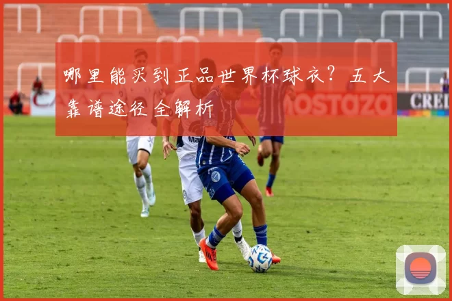 哪里能买到正品世界杯球衣？五大靠谱途径全解析
