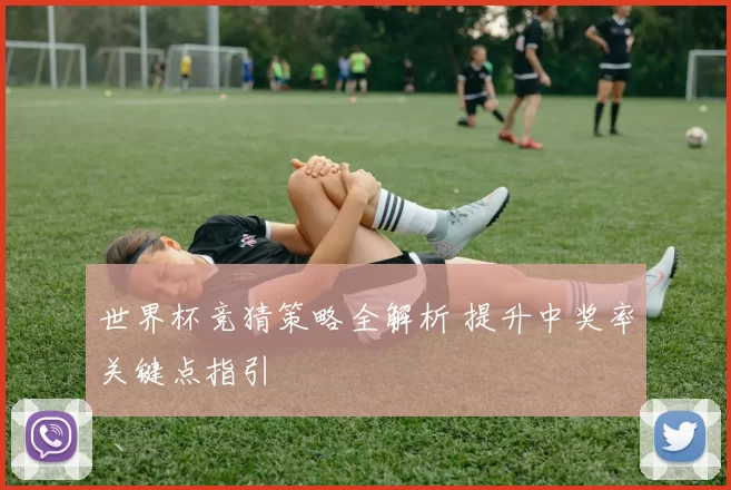 世界杯竞猜策略全解析 提升中奖率关键点指引
