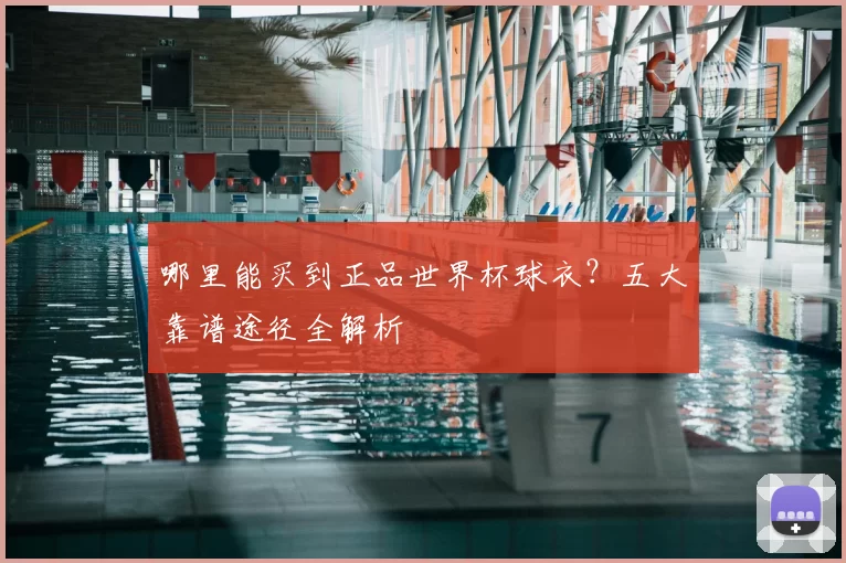 哪里能买到正品世界杯球衣？五大靠谱途径全解析