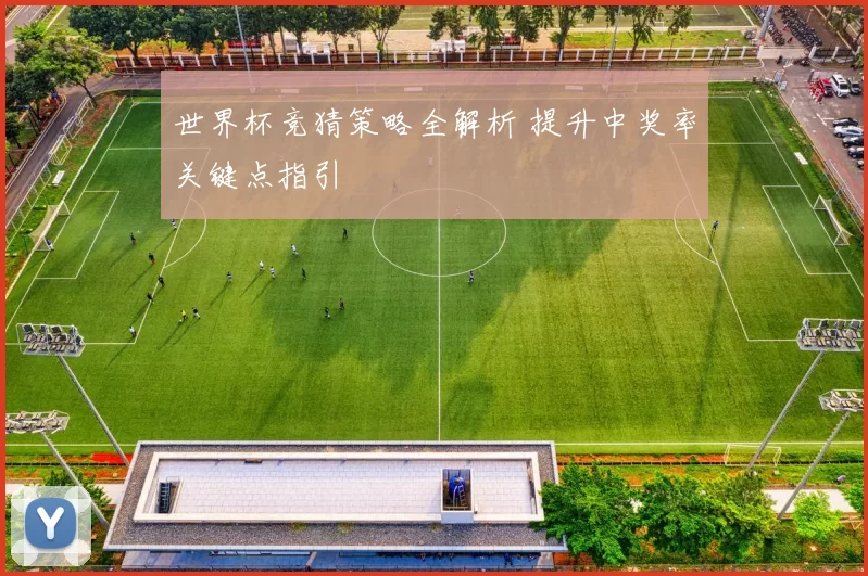 世界杯竞猜策略全解析 提升中奖率关键点指引
