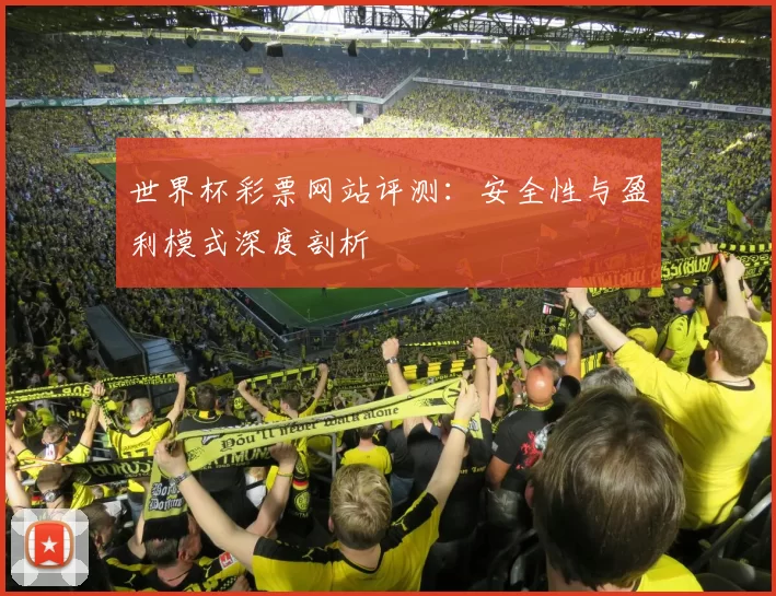 世界杯彩票网站评测：安全性与盈利模式深度剖析