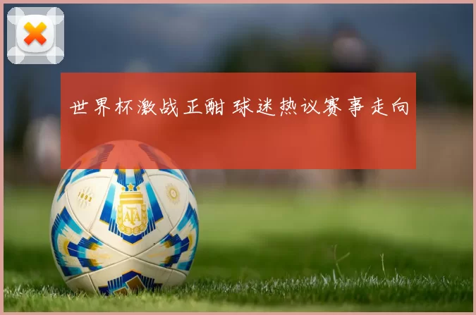 世界杯激战正酣 球迷热议赛事走向