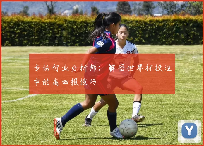 专访行业分析师：解密世界杯投注中的高回报技巧