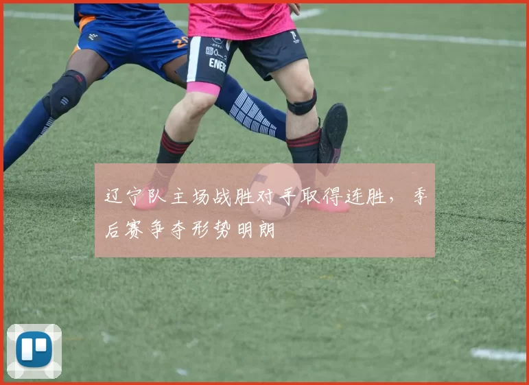 辽宁队主场战胜对手取得连胜，季后赛争夺形势明朗