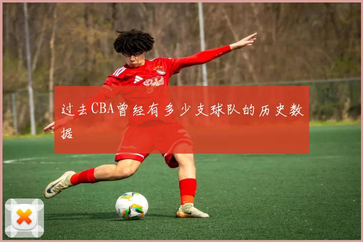 过去CBA曾经有多少支球队的历史数据